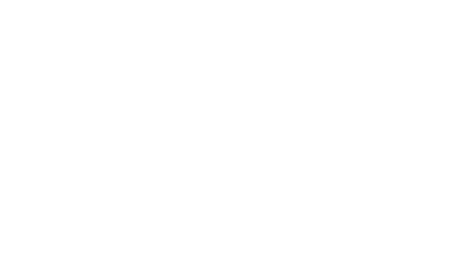 zebra-blanco